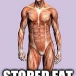 Scumbag body | DEVELOPS MECHANISMS TO STORE ENERGY AS FAT SO THAT YOU WON'T DIE STORED FAT KILLS YOU | image tagged in scumbag body | made w/ Imgflip meme maker