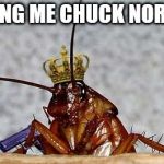 Cockroach King | BRING ME CHUCK NORRIS | image tagged in cockroach king | made w/ Imgflip meme maker