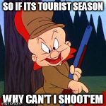 Elmer Fudd | SO IF ITS TOURIST SEASON WHY CAN'T I SHOOT'EM | image tagged in elmer fudd | made w/ Imgflip meme maker
