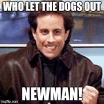 Seinfeld Newman | WHO LET THE DOGS OUT NEWMAN! | image tagged in seinfeld newman,dogs,newman | made w/ Imgflip meme maker
