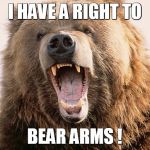 Beary funny! | I HAVE A RIGHT TO BEAR ARMS ! | image tagged in beary funny | made w/ Imgflip meme maker