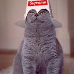 Emperor Kitty