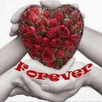 Anniversary 