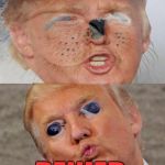 Poor Donald Trump | IMMA CHECK THE MEXICALIEN BORDER DENIED | image tagged in donald trump,memes | made w/ Imgflip meme maker