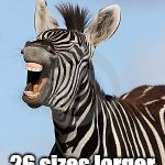 Laughing Zebra Meme Generator Imgflip