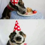 Happy Birthday | WANT SOME CAKE? THINK AGAIN. | image tagged in happy birthday | made w/ Imgflip meme maker