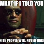 Morpheus acerca do Paleteros | WHAT IF I TOLD YOU SOME WHITE PEOPLE WILL NEVER UNDERSTAND | image tagged in morpheus acerca do paleteros | made w/ Imgflip meme maker