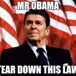 Reasonable Reagan | MR OBAMA TEAR DOWN THIS LAW | image tagged in reasonable reagan | made w/ Imgflip meme maker