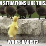 I think we're better off not trying to know  | IN SITUATIONS LIKE THIS... WHO'S RACIST? | image tagged in ducks,memes | made w/ Imgflip meme maker