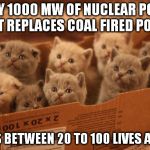 Nuclear Power saves kittens... and people too! | EVERY 1000 MW OF NUCLEAR POWER THAT REPLACES COAL FIRED POWER SAVES BETWEEN 20 TO 100 LIVES A YEAR. | image tagged in box o kittens,nuclear power,truth,facts | made w/ Imgflip meme maker
