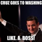 ted cruz | MR. CRUZ GOES TO WASHINGTON LIKE. A. BOSS! | image tagged in ted cruz | made w/ Imgflip meme maker