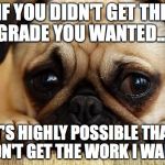 Sad Puppy | IF YOU DIDN'T GET THE GRADE YOU WANTED... IT'S HIGHLY POSSIBLE THAT I DIDN'T GET THE WORK I WANTED | image tagged in sad puppy | made w/ Imgflip meme maker