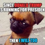 Crumpet for President | SINCE DONALD TRUMP IS RUNNING FOR PRESIDENT THEN I WILL TOO DONALD TRUMP I WILL TOO | image tagged in crumpet,memes | made w/ Imgflip meme maker