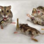Party Mouses