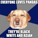 racist dog | EVERYONE LOVES PANDAS THEY'RE BLACK WHITE AND ASIAN | image tagged in racist dog | made w/ Imgflip meme maker