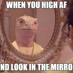 high af | WHEN YOU HIGH AF AND LOOK IN THE MIRROR | image tagged in high af | made w/ Imgflip meme maker