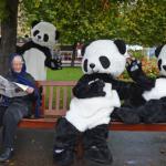 panda bears in edinburgh mocking and clocking