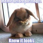embarrassed bunny | I didn't proof read my meme before posting it. Know it looks like I canot spel. | image tagged in embarrassed bunny | made w/ Imgflip meme maker