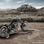 HARLEY DAVIDSONS
