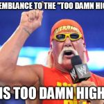 too damn high | MY RESEMBLANCE TO THE "TOO DAMN HIGH" GUY IS TOO DAMN HIGH | image tagged in hulk hogan,too damn high | made w/ Imgflip meme maker