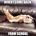 Tired Dog | WHEN I COME BACK FROM SCHOOL | image tagged in tired dog | made w/ Imgflip meme maker