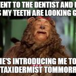 cowardly lion | WENT TO THE DENTIST AND HE SAYS MY TEETH ARE LOOKING GREAT HE'S INTRODUCING ME TO HIS TAXIDERMIST TOMMORROW | image tagged in cowardly lion | made w/ Imgflip meme maker