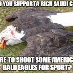 windmill killing eagles | WOULD YOU SUPPORT A RICH SAUDI COMING HERE TO SHOOT SOME AMERICAN BALD EAGLES FOR SPORT? | image tagged in windmill killing eagles | made w/ Imgflip meme maker