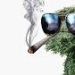 Oscar the Crouch marijuana meme