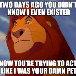 Lion King | TWO DAYS AGO YOU DIDN'T KNOW I EVEN EXISTED NOW YOU'RE TRYING TO ACT LIKE I WAS YOUR DAMN PET | image tagged in lion king | made w/ Imgflip meme maker