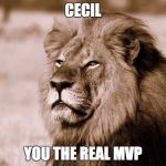 cecil lion | CECIL YOU THE REAL MVP | image tagged in cecil lion | made w/ Imgflip meme maker