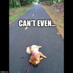 Can't Even | CAN'T EVEN... | image tagged in can't even | made w/ Imgflip meme maker