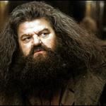 Hagrid