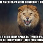 Lion attack | WHY ARE AMERICANS MORE CONCERNED THAN US? WE NEVER HEAR THEM SPEAK OUT WHEN VILLAGERS ARE KILLED BY LIONS.~ JOSEPH MUBUWA | image tagged in lion attack | made w/ Imgflip meme maker