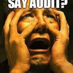 A CANDIDATE WITH A CLUE! | DID SOMEONE SAY AUDIT? FEAR JUNE! | image tagged in fear,school committee,elections,fiscal year | made w/ Imgflip meme maker