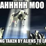 Cows flying  | AHHHHH MOO I'M BEING TAKEN BY ALIENS TO EAT MEEE | image tagged in cows flying | made w/ Imgflip meme maker