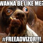 UGLY DOG | WANNA BE LIKE ME? #FREEADVIZOR!!! | image tagged in ugly dog,freeadvizor | made w/ Imgflip meme maker