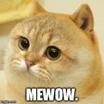 Cat Doge | MEWOW. | image tagged in cat doge | made w/ Imgflip meme maker