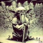 Weed Yoda