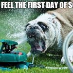 First Day of School | HOW I FEEL THE FIRST DAY OF SCHOOL | image tagged in sprinkler | made w/ Imgflip meme maker