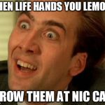 nic cage | WHEN LIFE HANDS YOU LEMONS THROW THEM AT NIC CAGE | image tagged in nic cage | made w/ Imgflip meme maker