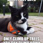 Safety Cat | SAFETY CAT SAYS ONLY CLIMB UP TREES YOU CAN CLIMB DOWN | image tagged in safety cat | made w/ Imgflip meme maker