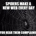 Spiders make | SPIDERS MAKE A NEW WEB EVERY DAY DO YOU HEAR THEM COMPLAINING ? | image tagged in spiders make | made w/ Imgflip meme maker