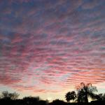 pink cloud blanket