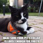 Safety Cat | SAFETY CAT SAYS MAKE SURE YOUR PET'S COLLAR IS LOOSE ENOUGH FOR YOU TO EASILY SLIP ONE FINGER BEHIND THE COLLAR AND YOUR PET'S NECK | image tagged in safety cat | made w/ Imgflip meme maker