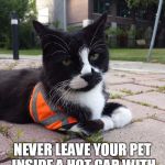 Safety Cat | SAFETY CAT SAYS NEVER LEAVE YOUR PET INSIDE A HOT CAR WITH THE WINDOWS ROLLED UP | image tagged in safety cat | made w/ Imgflip meme maker