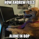 Dog computer | HOW ANDREW FEELS ALONE IN BOP | image tagged in dog computer | made w/ Imgflip meme maker