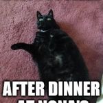 Fat Black Cat | HOW YOU FEEL... AFTER DINNER AT NONA'S | image tagged in fat black cat | made w/ Imgflip meme maker