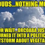 Anyone else notice this tendency...? | CLOUDS...NOTHING MORE OH WAIT...ORCOABA JUST TURNED IT INTO A POLITICAL SHITSTORM ABOUT VEGETABLES | image tagged in billowingclouds,memes,politics | made w/ Imgflip meme maker