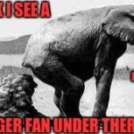 Elephant Poopy | I THINK I SEE A TIGER FAN UNDER THERE ROLL TIDE | image tagged in elephant poopy | made w/ Imgflip meme maker