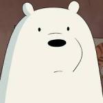 Ice Bear Approves 